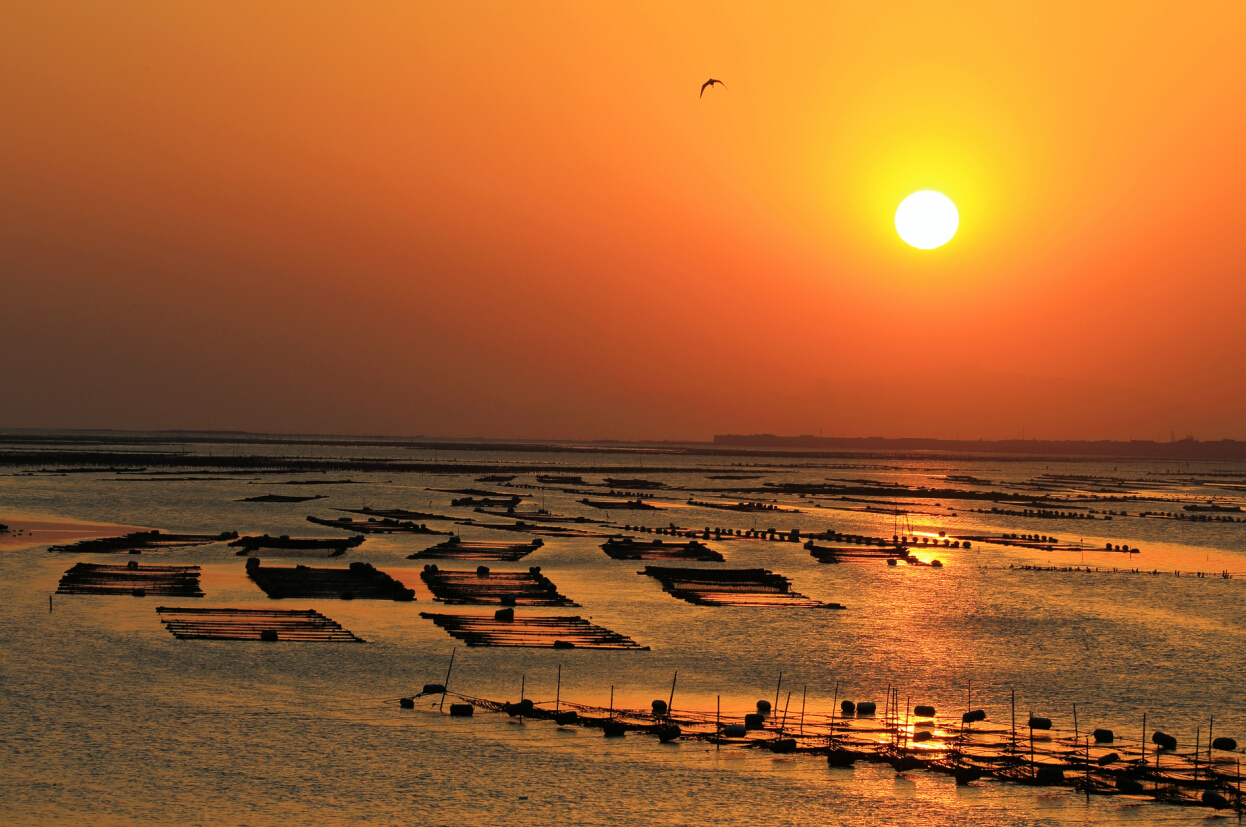 來廈門，暢游“小嶝、大擔(dān)”！
