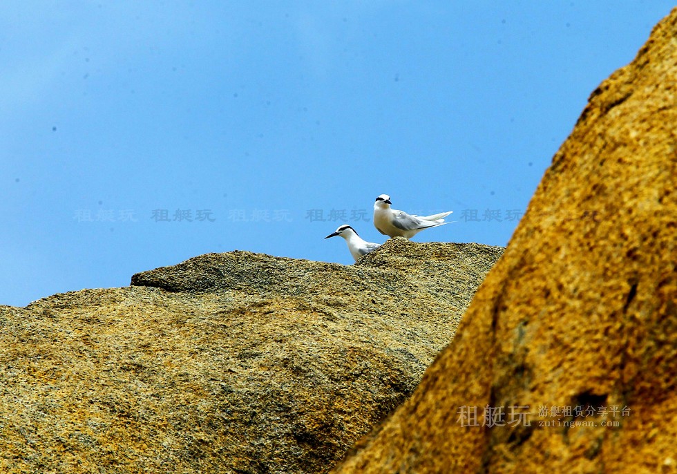 珠海-九洲島 游艇租賃 珠海-九洲島 游艇租賃