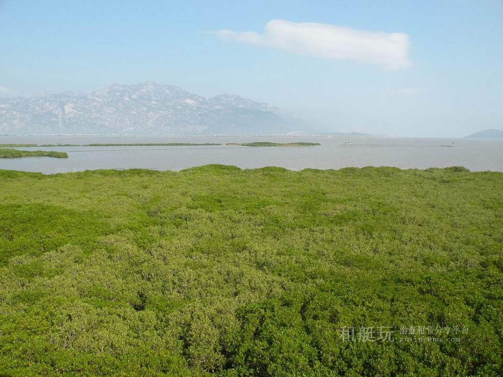 廈門五緣灣帆船港游艇租賃 廈門五緣灣帆船港游艇租賃