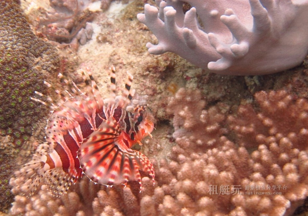 大圖03.jpg 大圖03.jpg