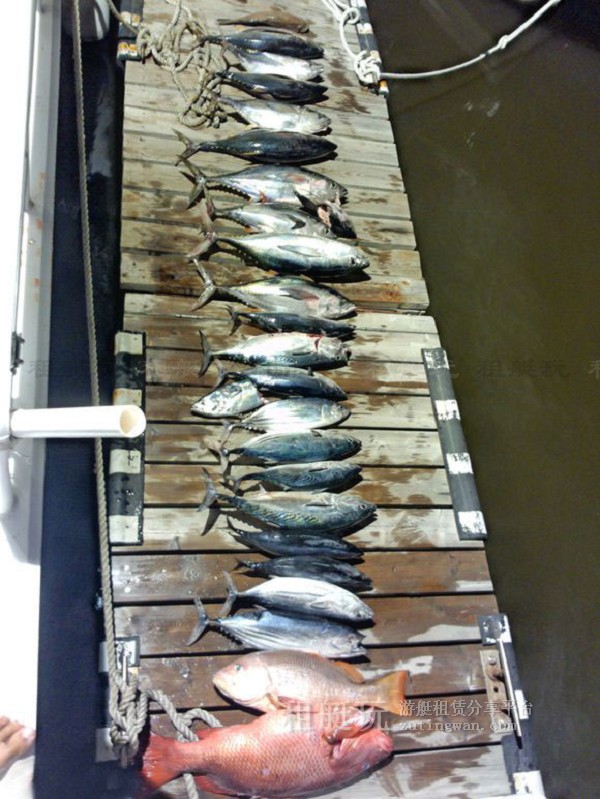 三亞海釣?zāi)康牡赝扑]，租艘釣魚艇去海釣吧！