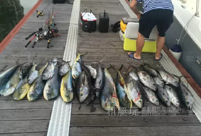 三亞海釣?zāi)康牡赝扑]，租艘釣魚艇去海釣吧！